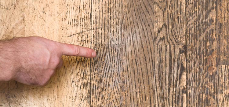 Wood Door Scratch Repair in Murrieta